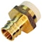 Apollo 3/4 in. Brass PEX-A Barb x 3/4 in. CPVC Straight Adapter EPXCPVC34 - alternate 3